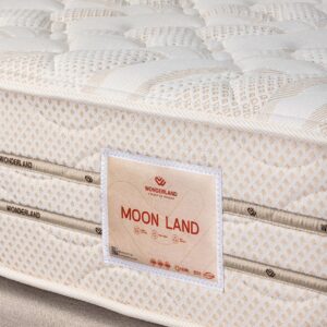Moon Land 29cm