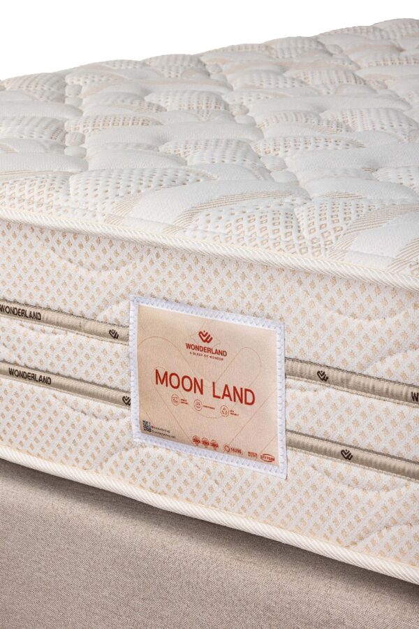 Moon Land 29cm